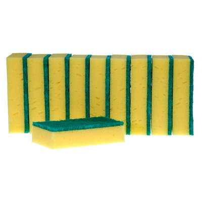 SPONGE SCOURERS